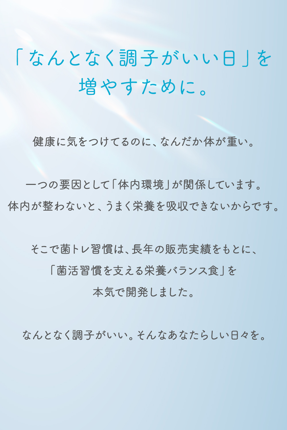 〜 20%OFF 15日23:59迄 〜 完全...の詳細画像3