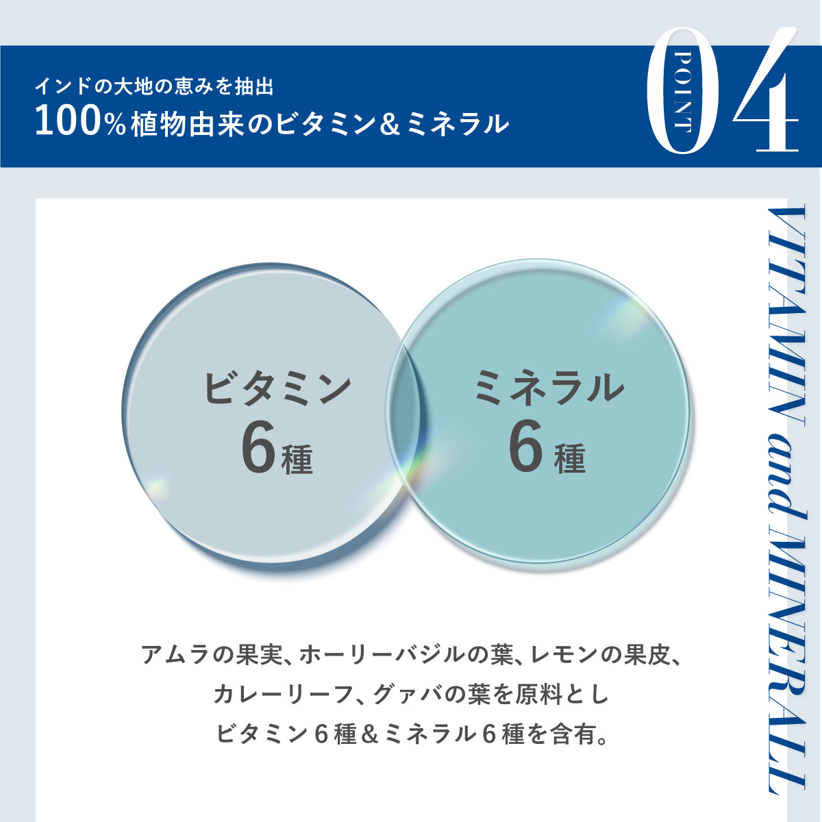 リポソームビタミンC 持続型 1000mg 高濃度 サプリ マルチビタミン 