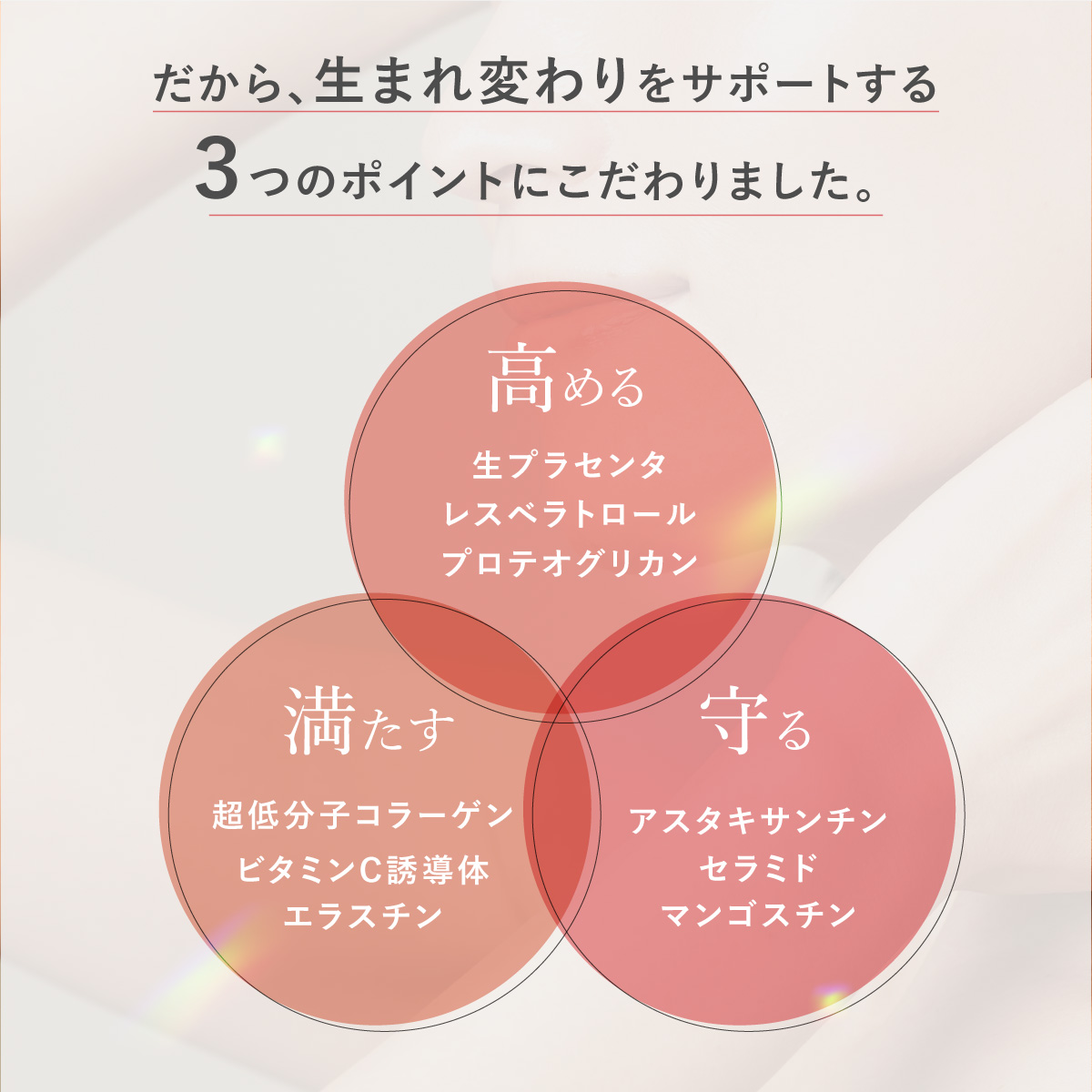 偏西風【無言購入○】断捨離中 1076003_1.png