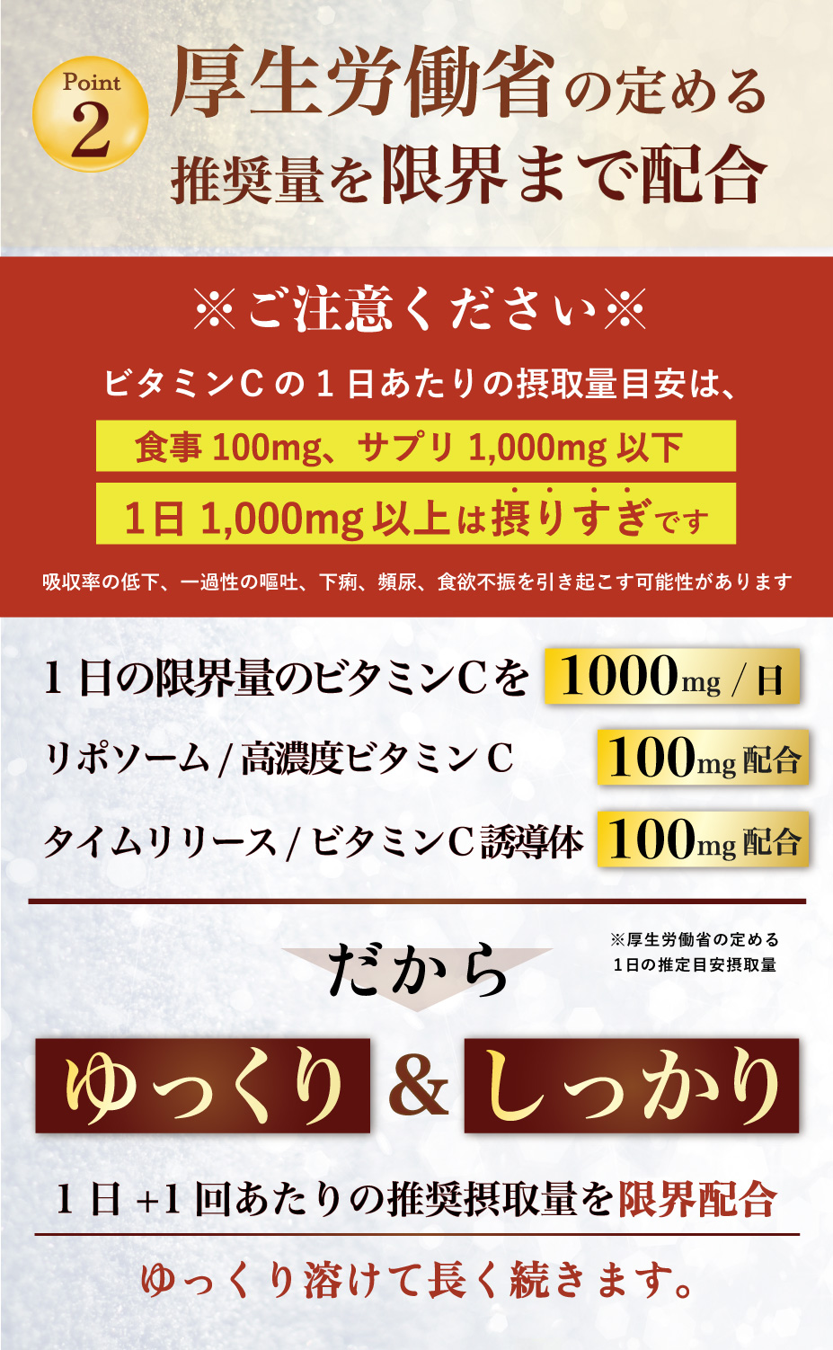 28日 23:59まで超特価 〜リポソームビタミンC 持続型 1000mg 高濃度