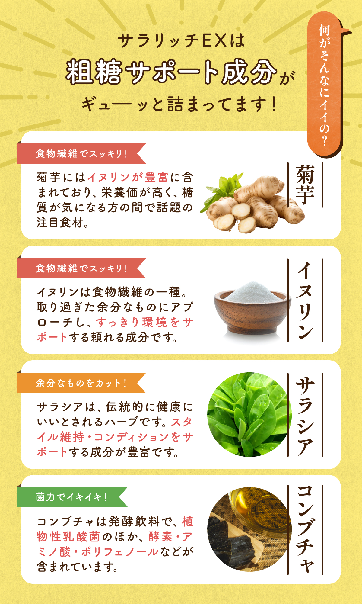 イヌリン サプリ レタス12玉分の食物繊維 サラシア サラリッチEX 糖