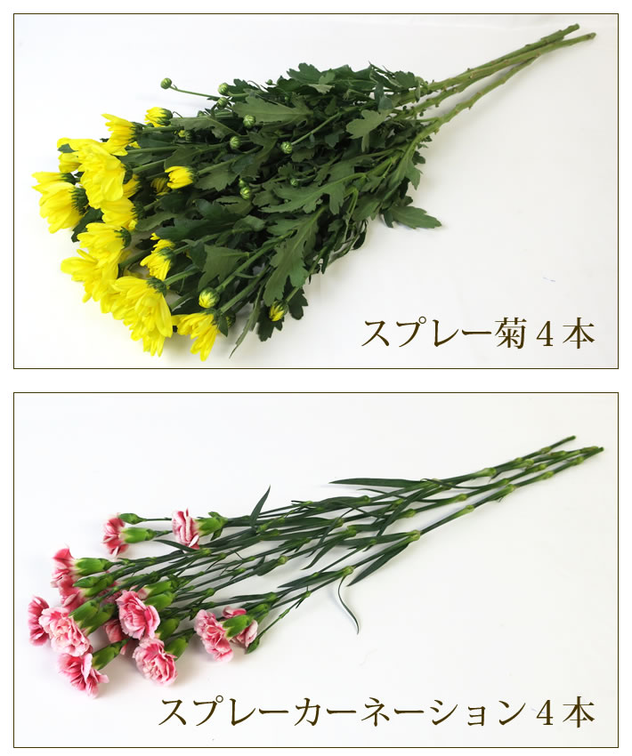 スプレー菊 スプレーカーネーション