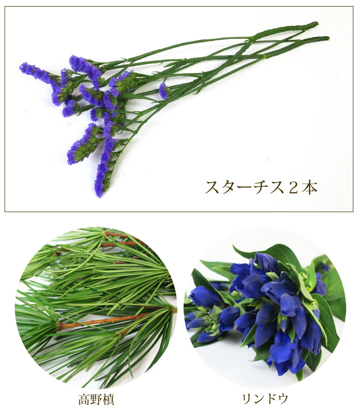 ホオズキ・説明高野槙〜リンドウ