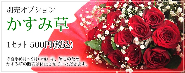 オプションかすみ草リンク