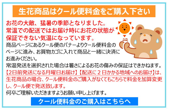 クール便300