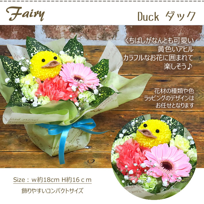 フェアリー ダック