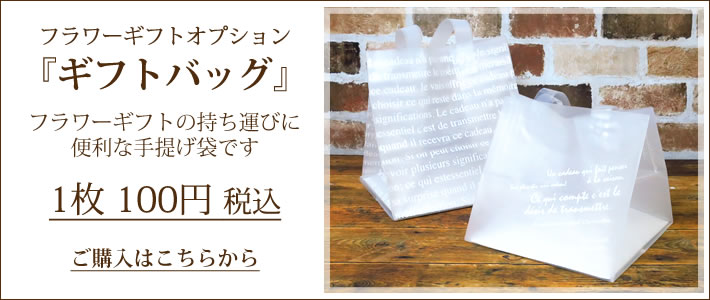オプション 手提げ袋