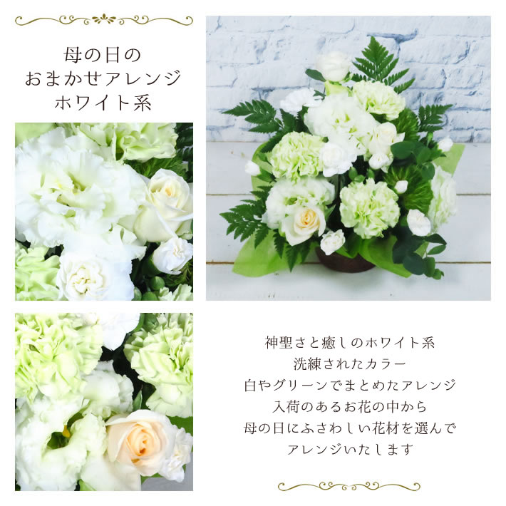 母の日 おまかせ アレンジ ホワイト 