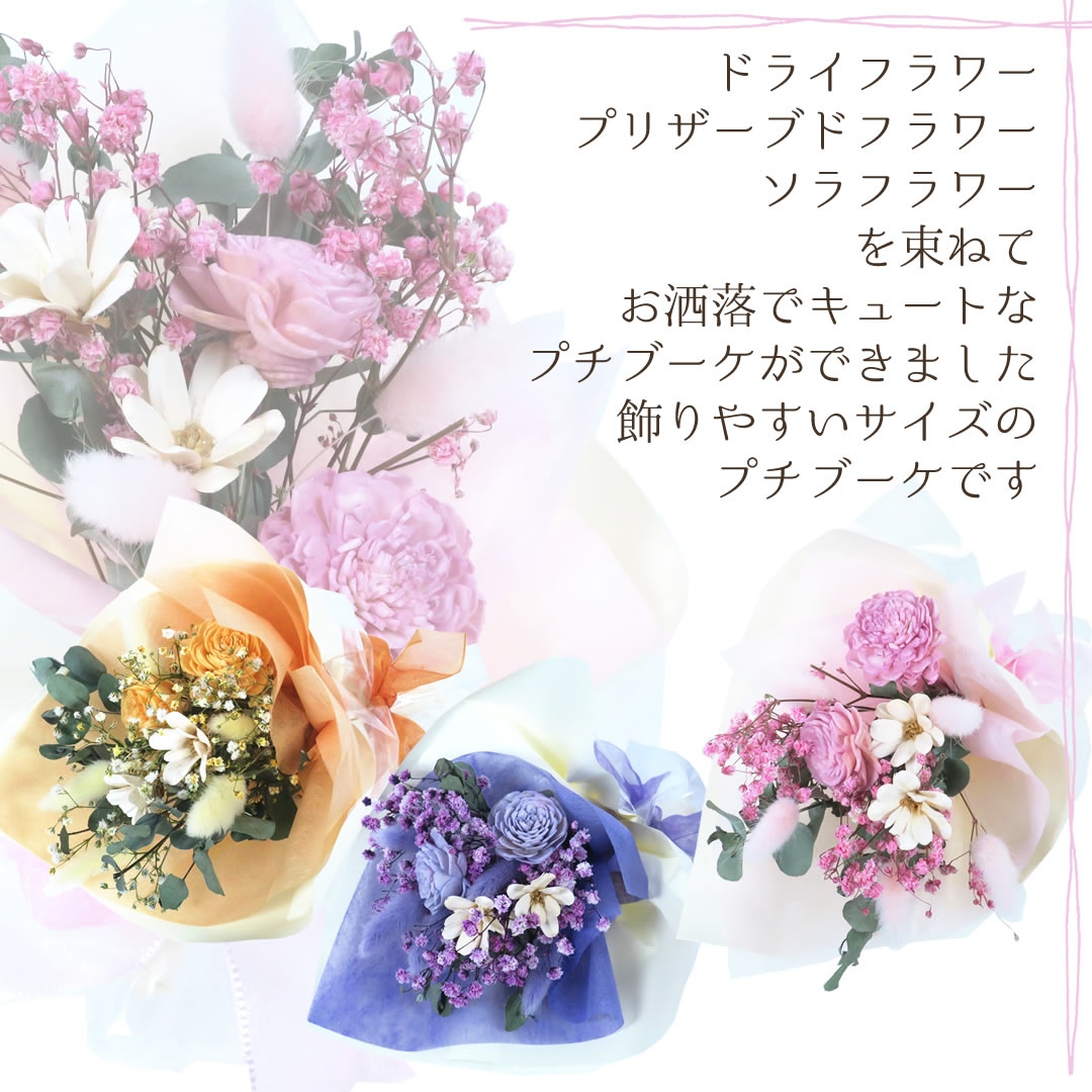  フルールセッシェプチ