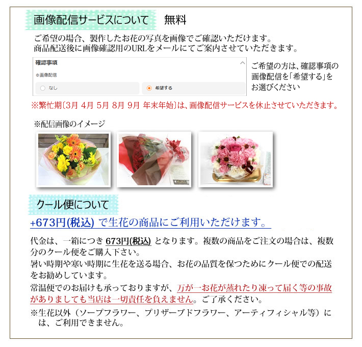 画像配信