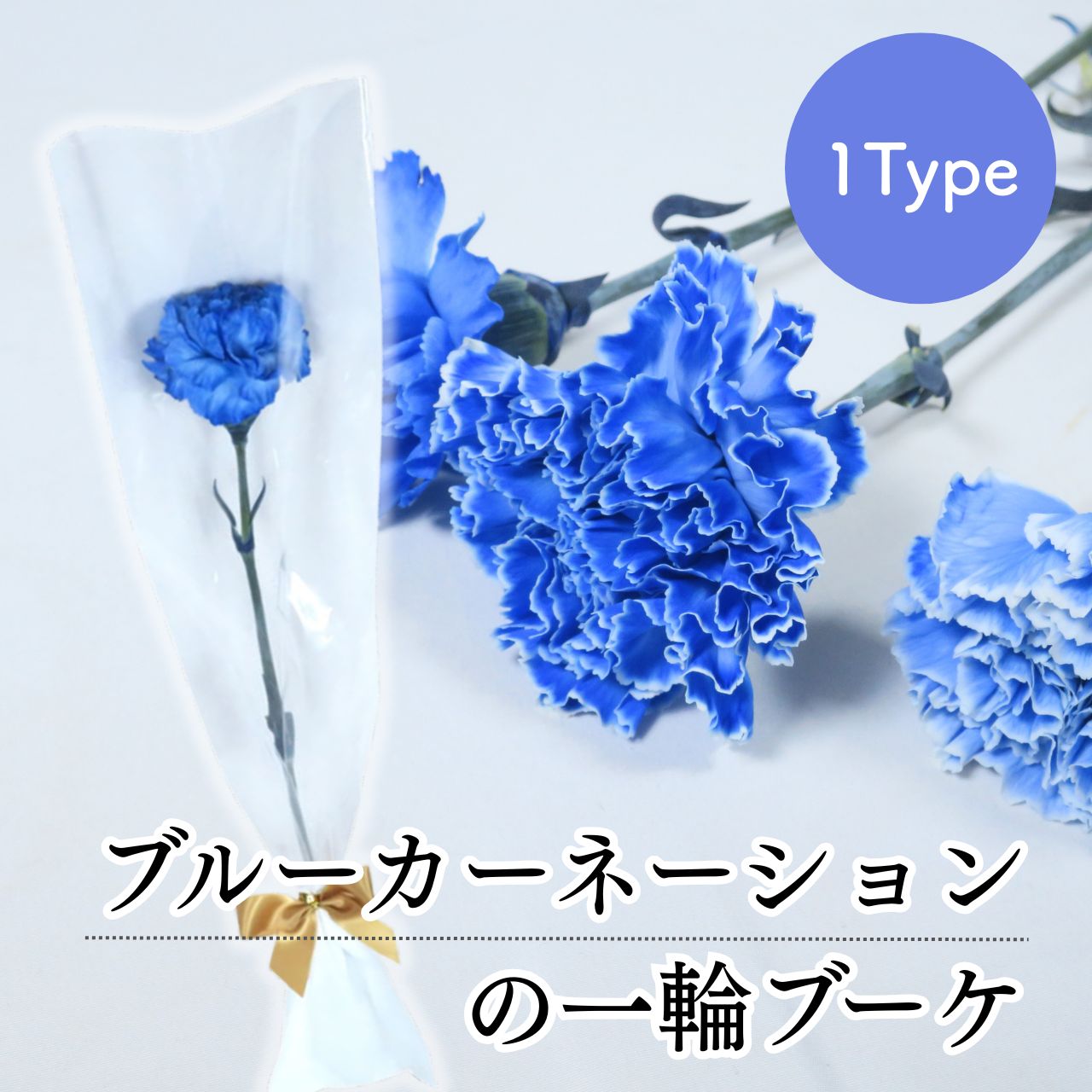 花 卒園 卒業 ブルーカーネーションの一輪 ブ...の詳細画像1