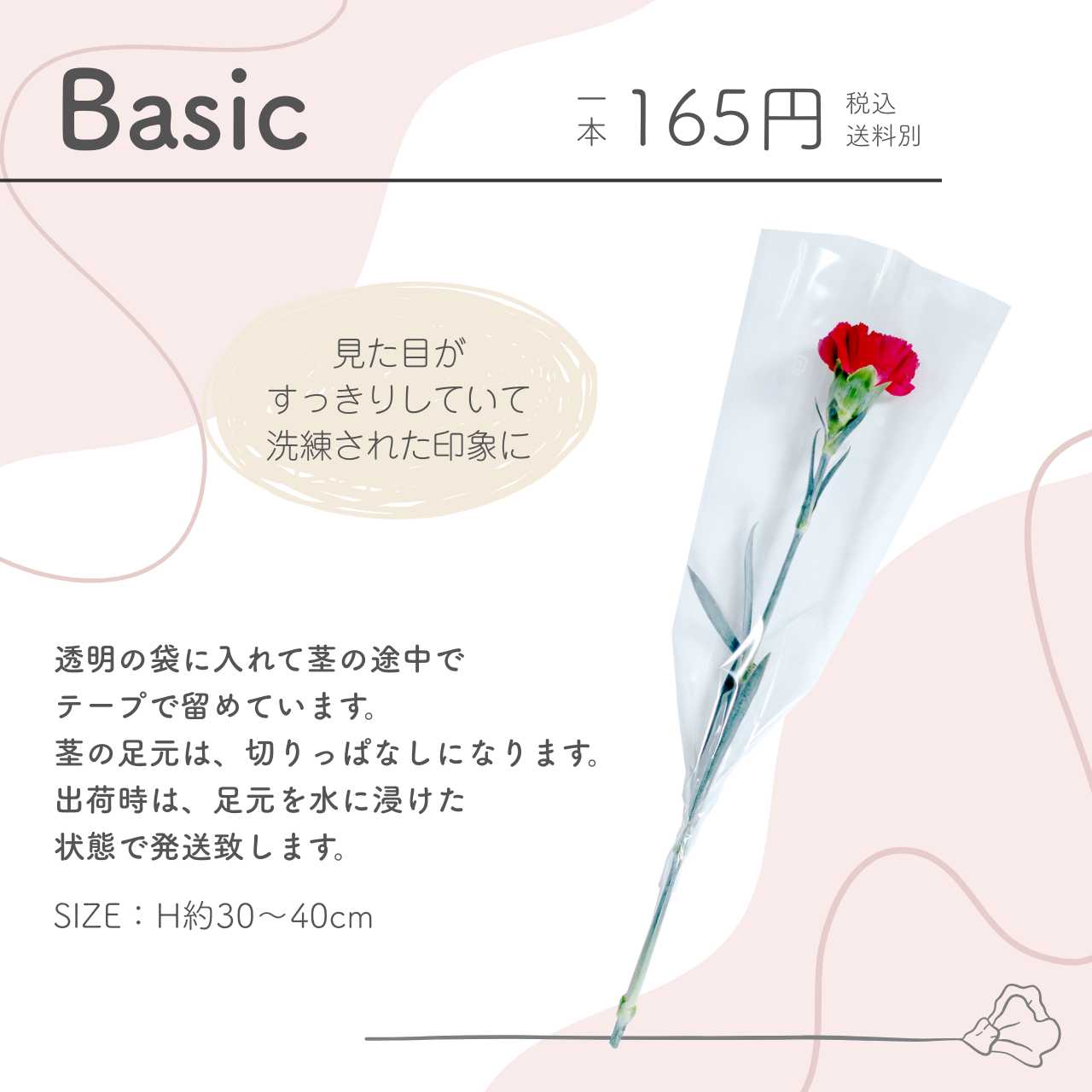 カーネーションの一輪ブーケ basic
