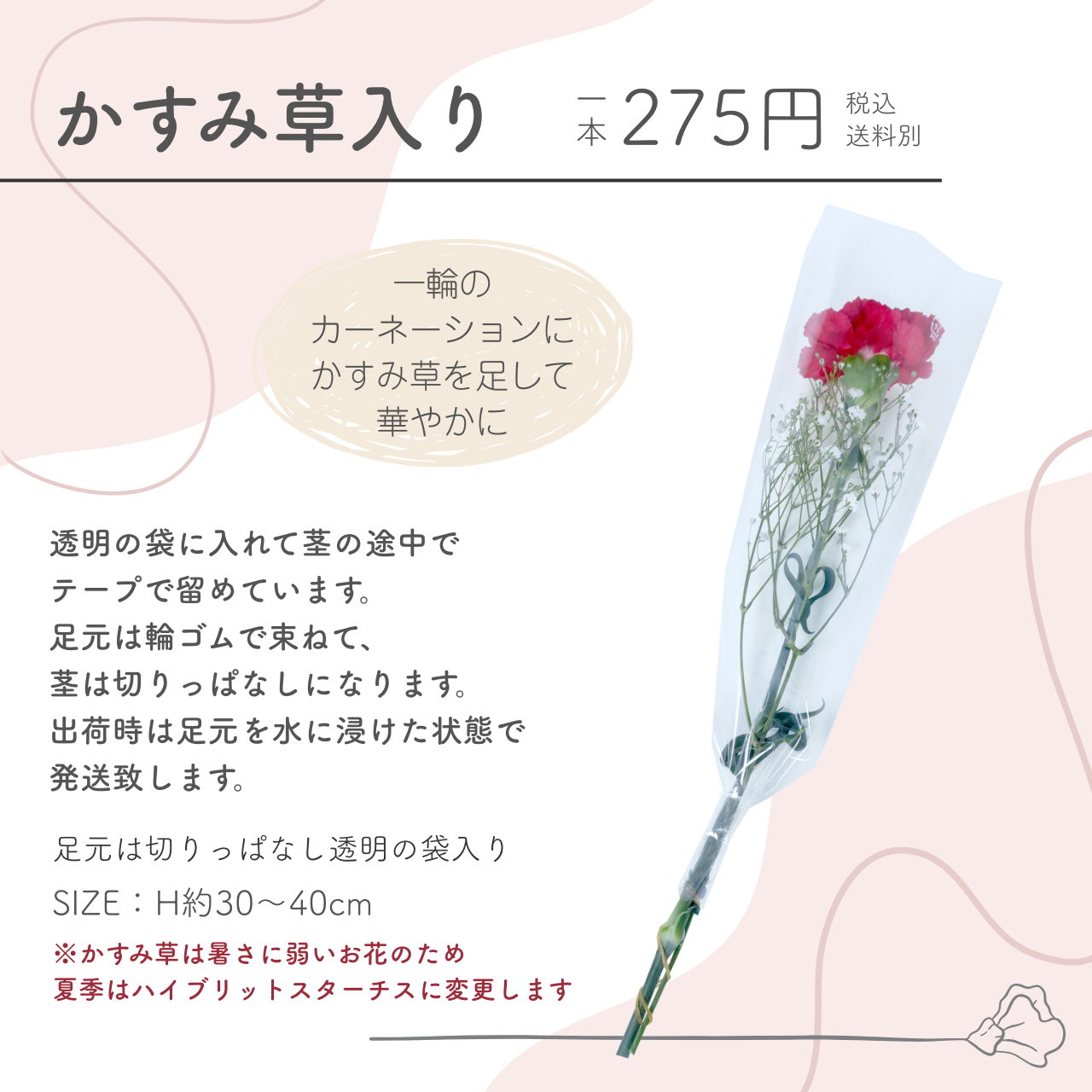 花 卒園 卒業 カーネーションの一輪 ブーケ ...の詳細画像3