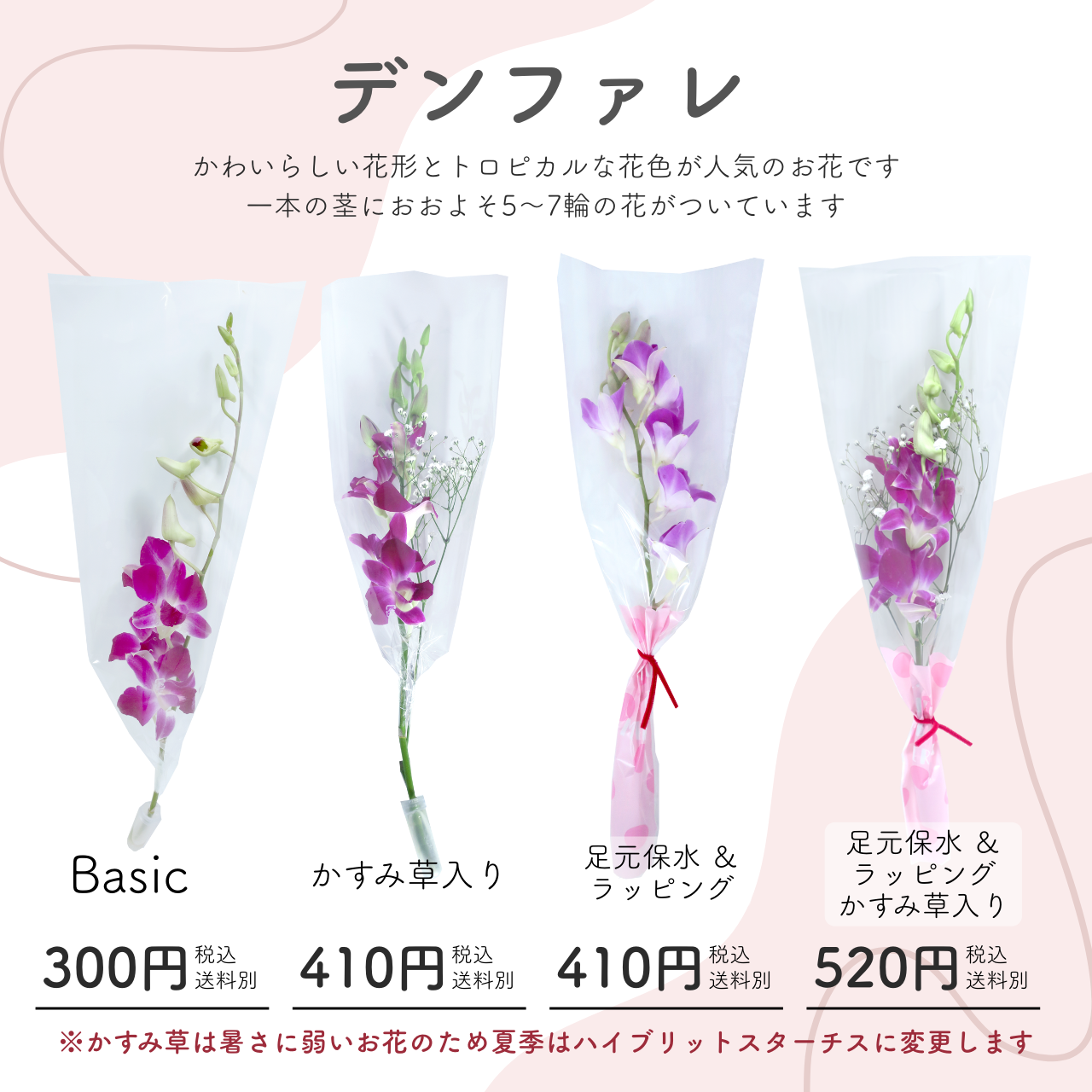 花 卒園 卒業 デンファレの一本 ブーケ 足元保水＆ラッピング 4type 1