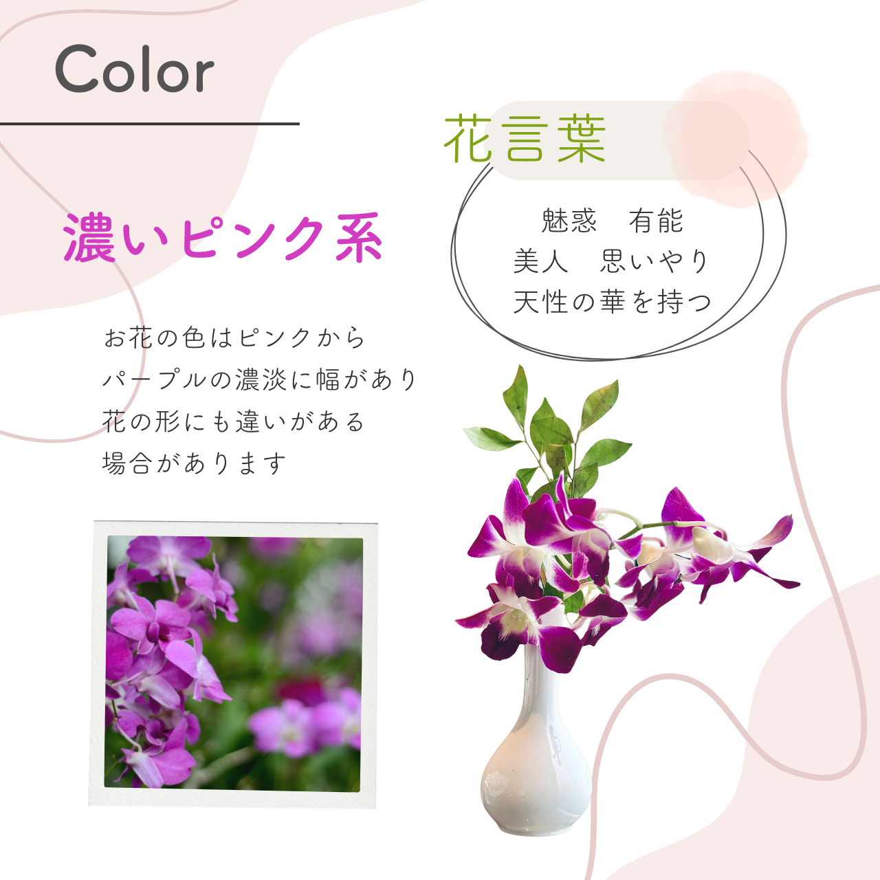 花 卒園 卒業 デンファレの一本 ブーケ かす...の詳細画像5