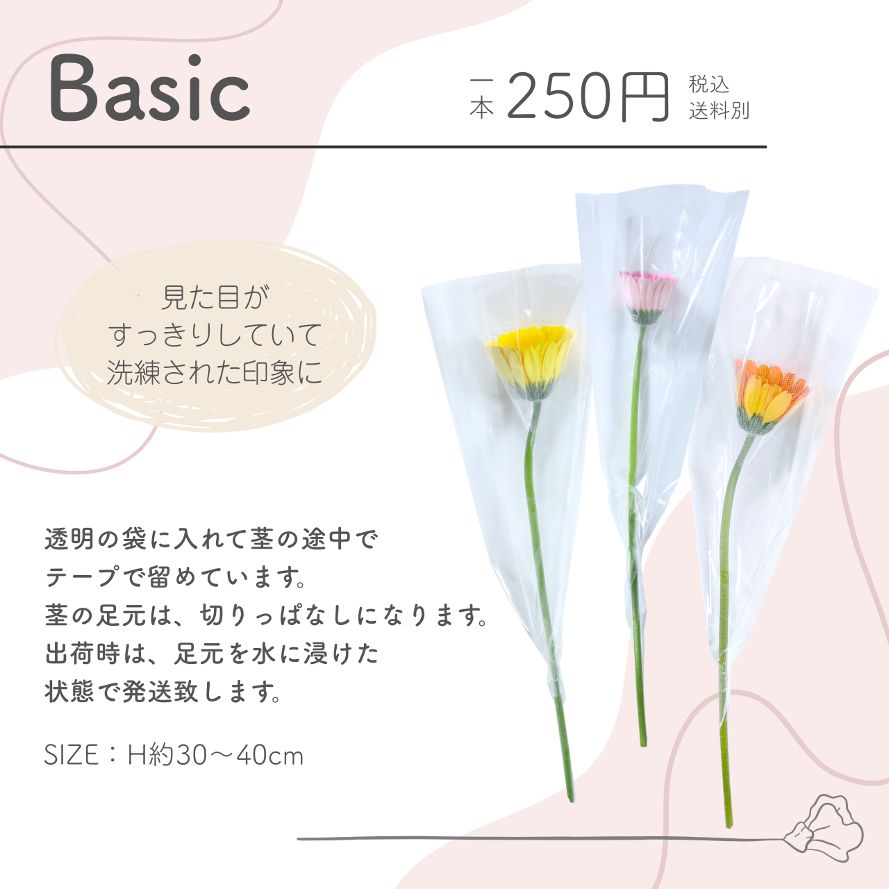 花 卒園 卒業 ガーベラの一輪 ブーケ Bas...の詳細画像3