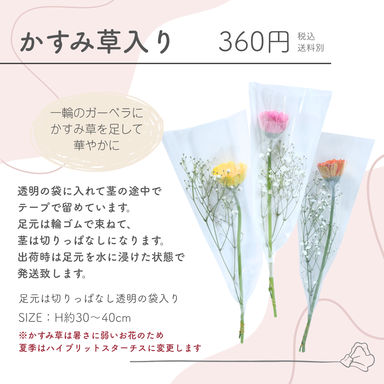 ガーベラの一輪ブーケ かすみ草入り