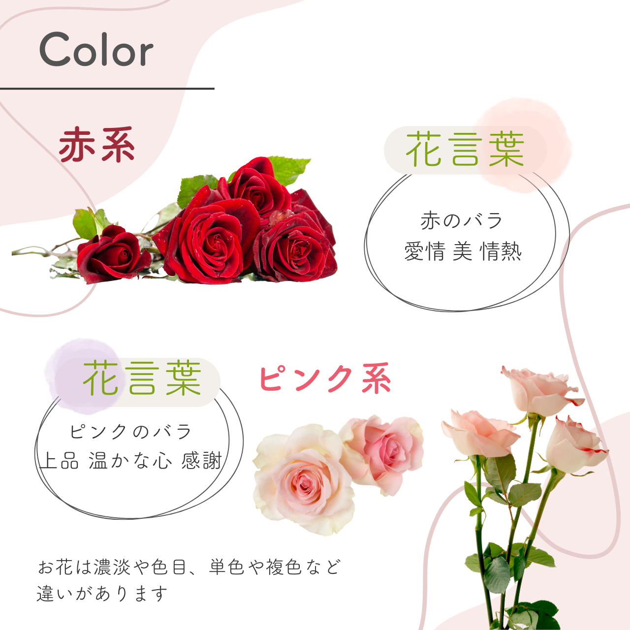 花 卒園 卒業 バラの一輪 ブーケ 足元保水&...の詳細画像5