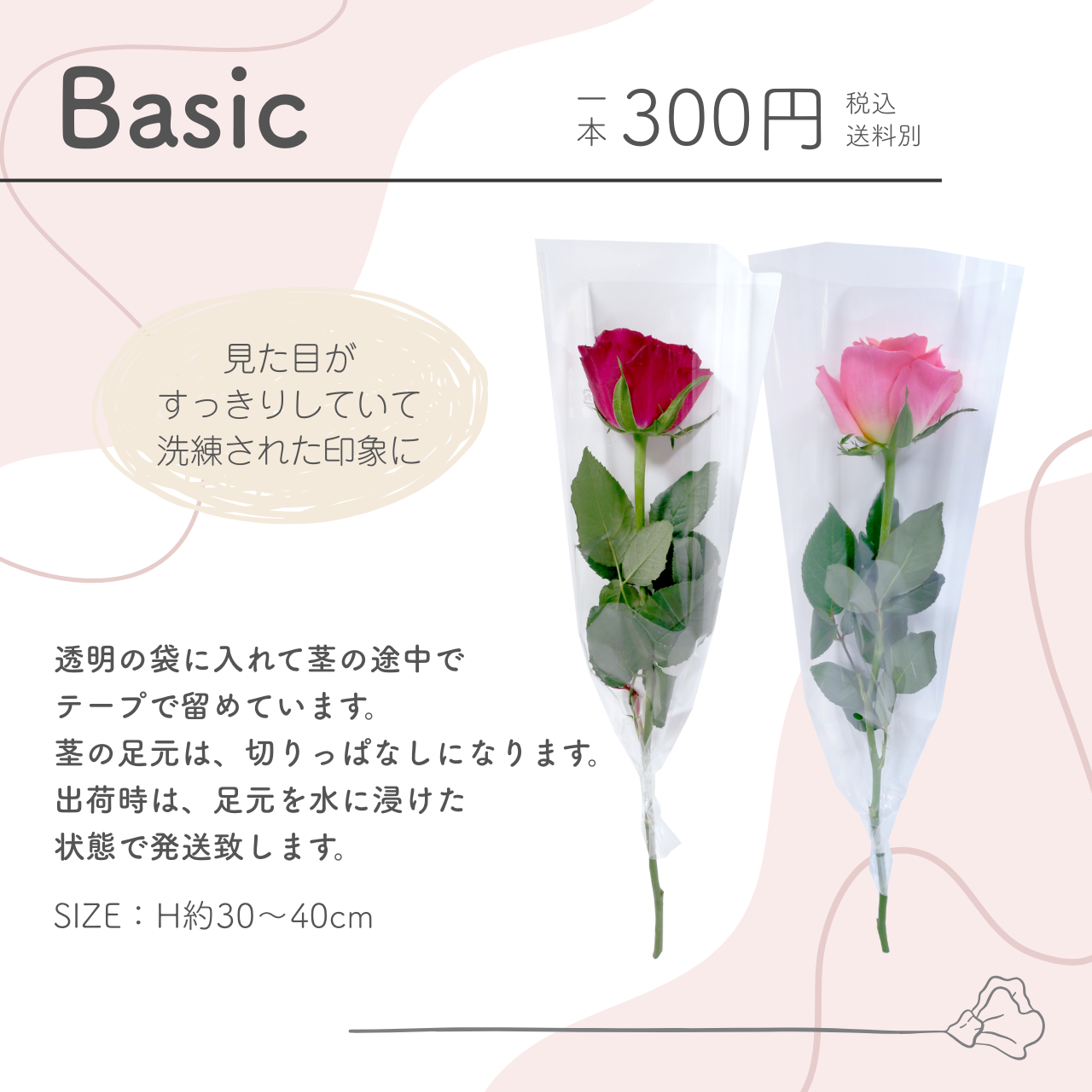 花 卒園 卒業 バラの一輪 ブーケ Basic...の詳細画像3
