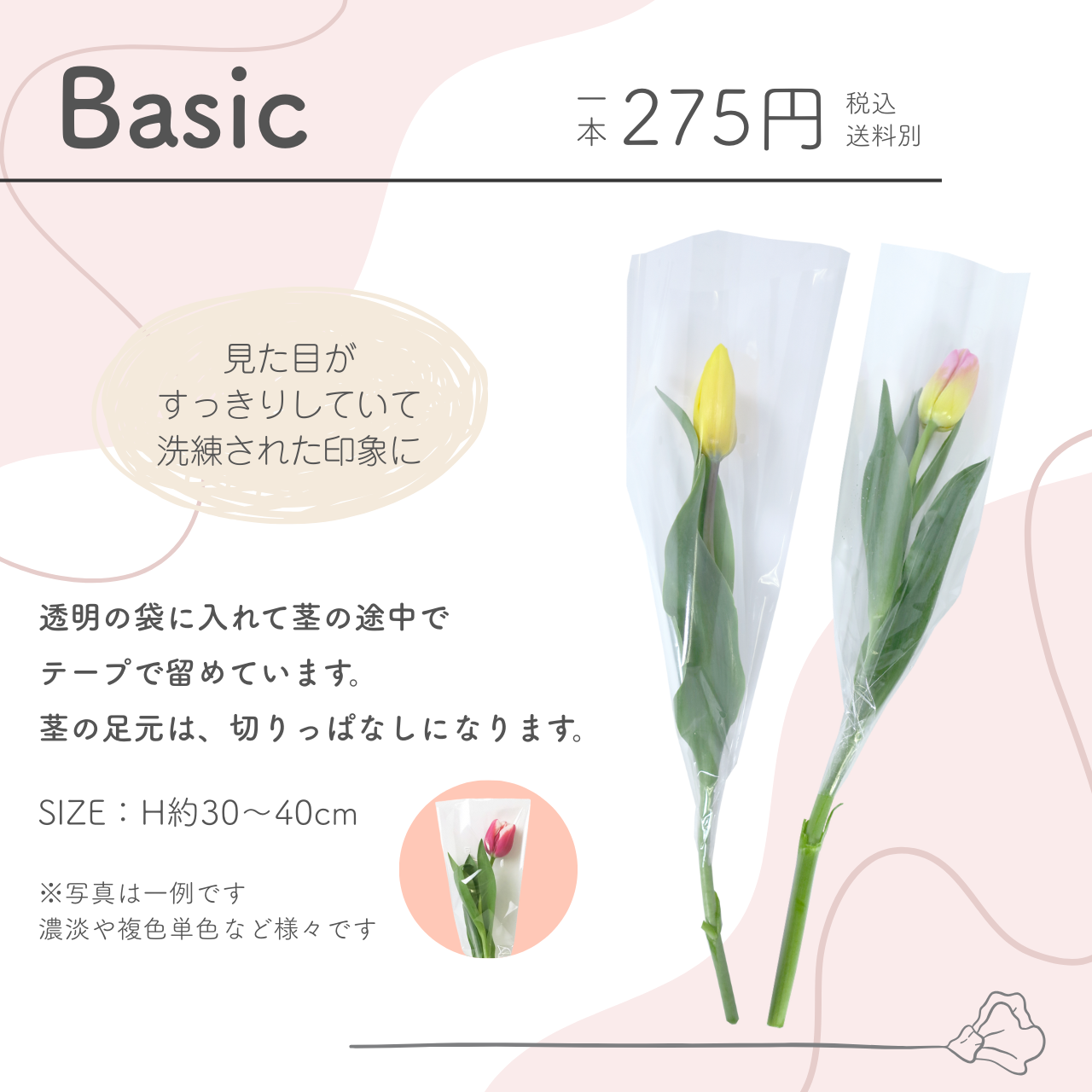 花 卒園 卒業 チューリップの一輪 ブーケ Basic 1輪 1本 一輪 一本 1輪