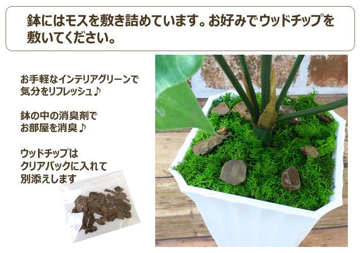 付属 ウッドチップ