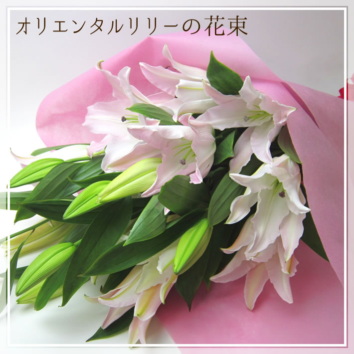 オリエンタルリリー ピンク
