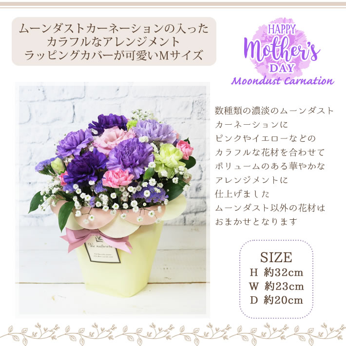 母の日 ムーンダストアレンジ M