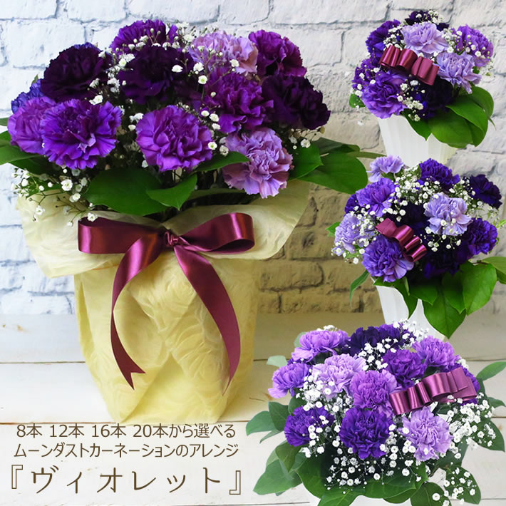 花 誕生日 ギフト プレゼント 青いカーネーション ムーンダスト ヴィオ