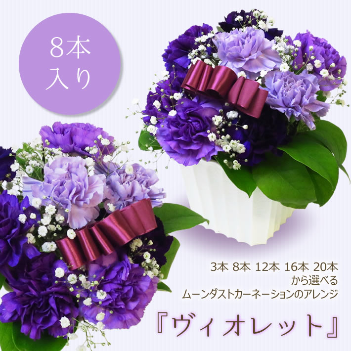 カーネーションアレンジメント8本 花 誕生日 ムーンダスト ヴィオレット 8本入り アレンジメント ギフト