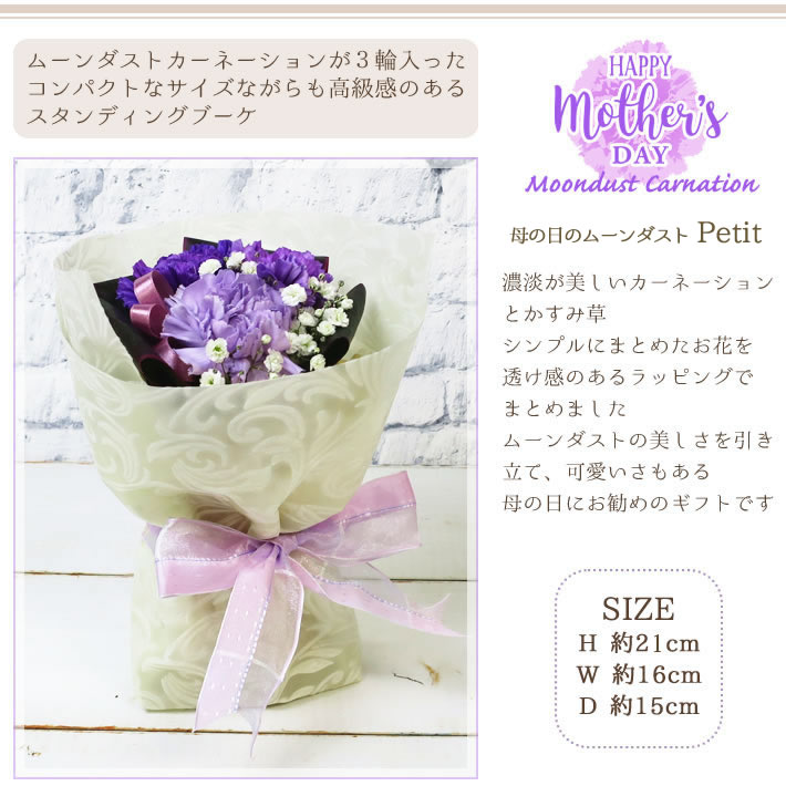 母の日 ムーンダストアレンジ petit