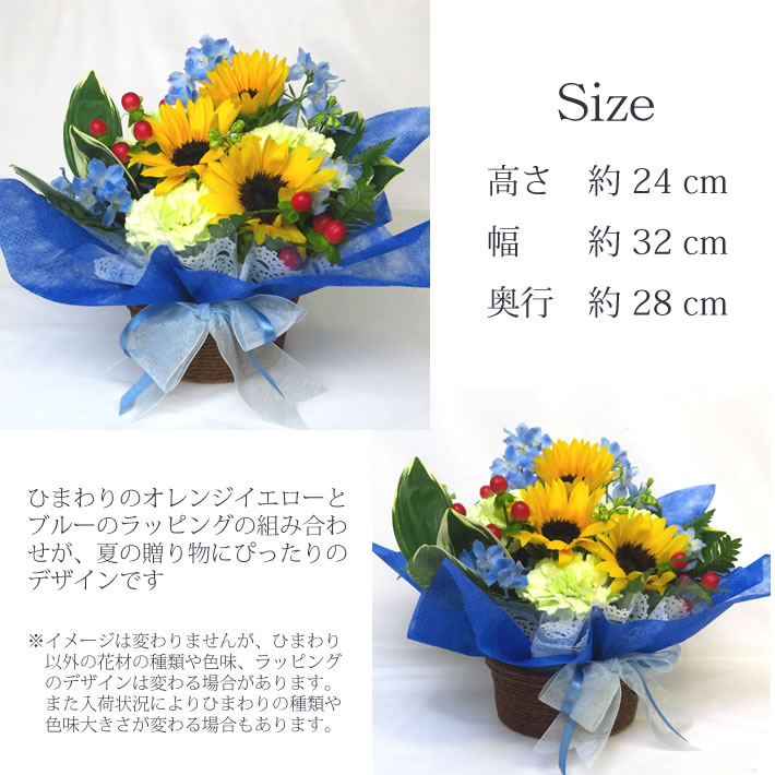 商品サイズ