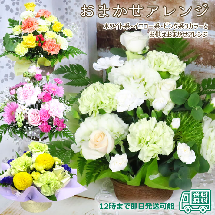 おまかせ アレンジ 商品画像