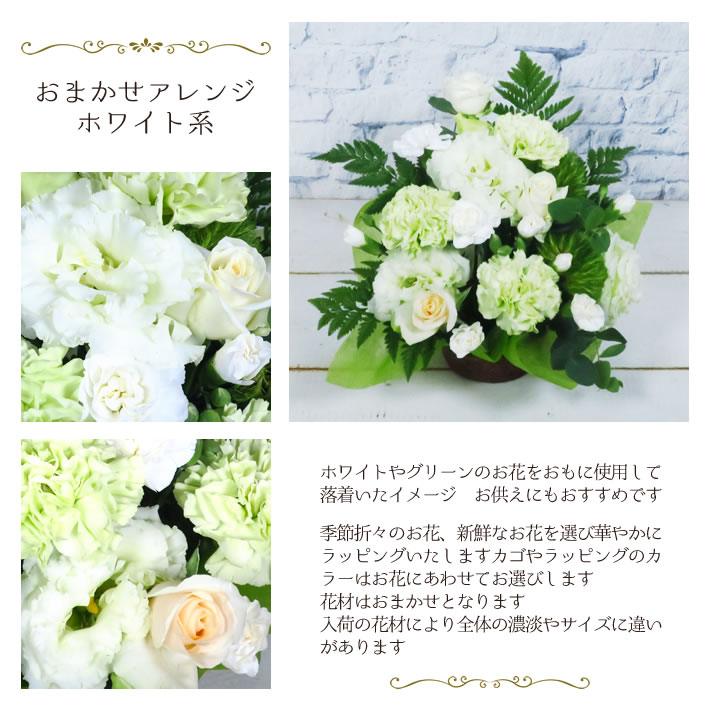 おまかせ アレンジ ホワイト 