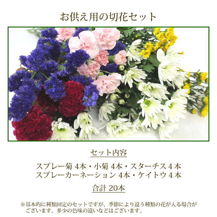 商品説明