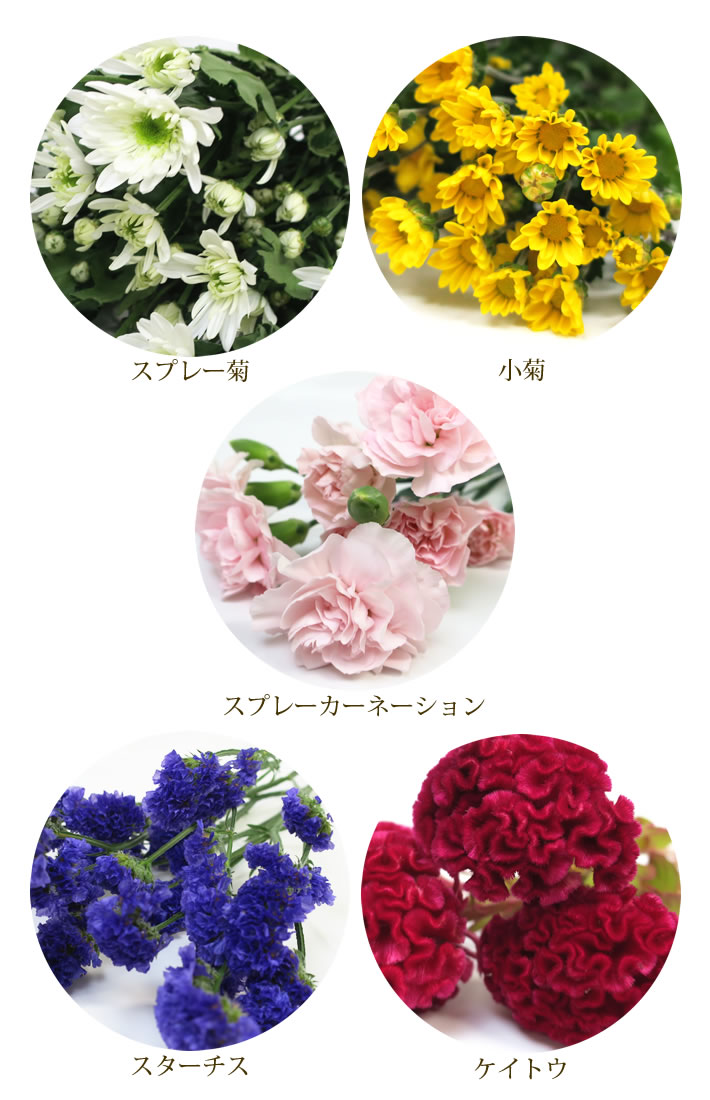花材写真
