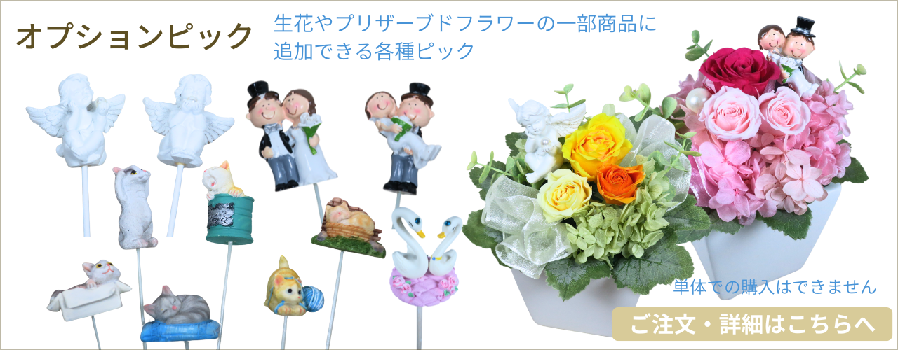 オプションピック