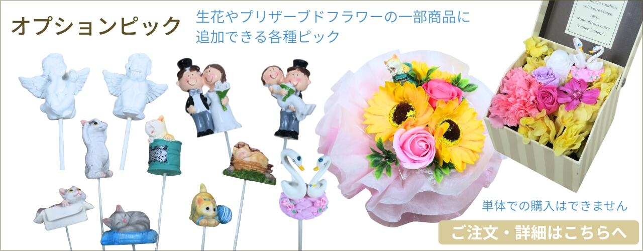 オプションピック