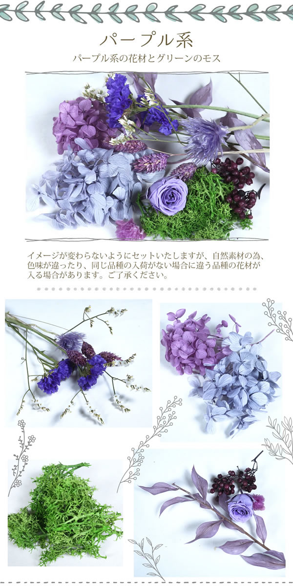 パープル系