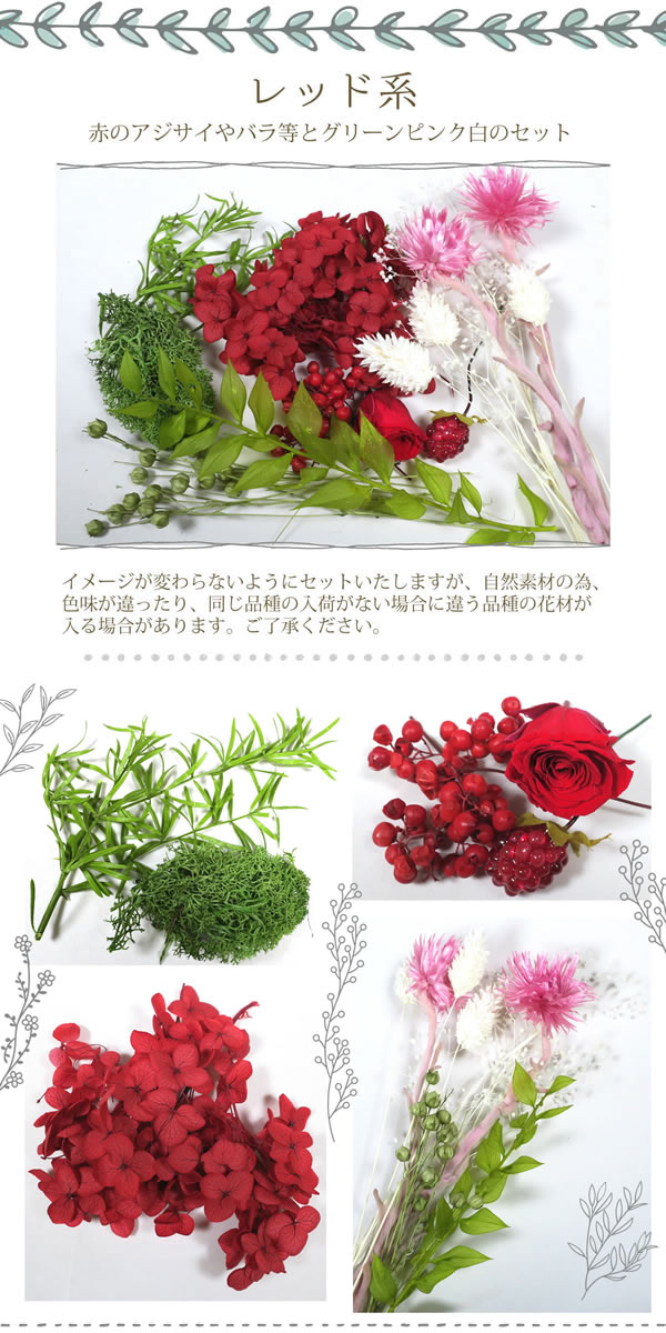 レッド系