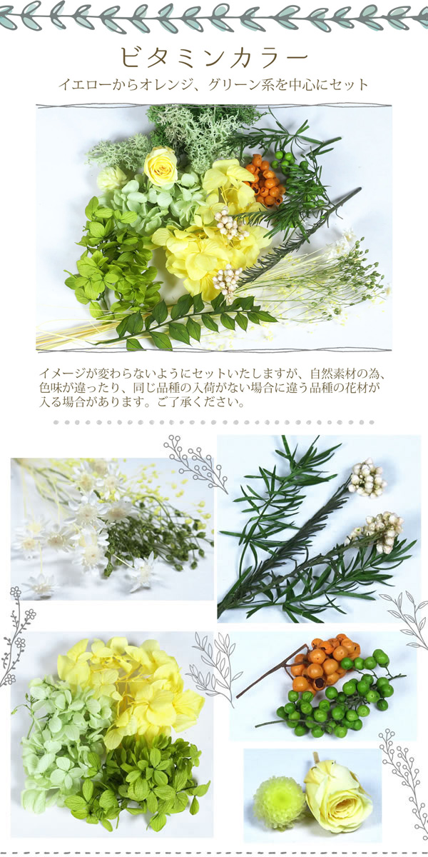 ビタミン系
