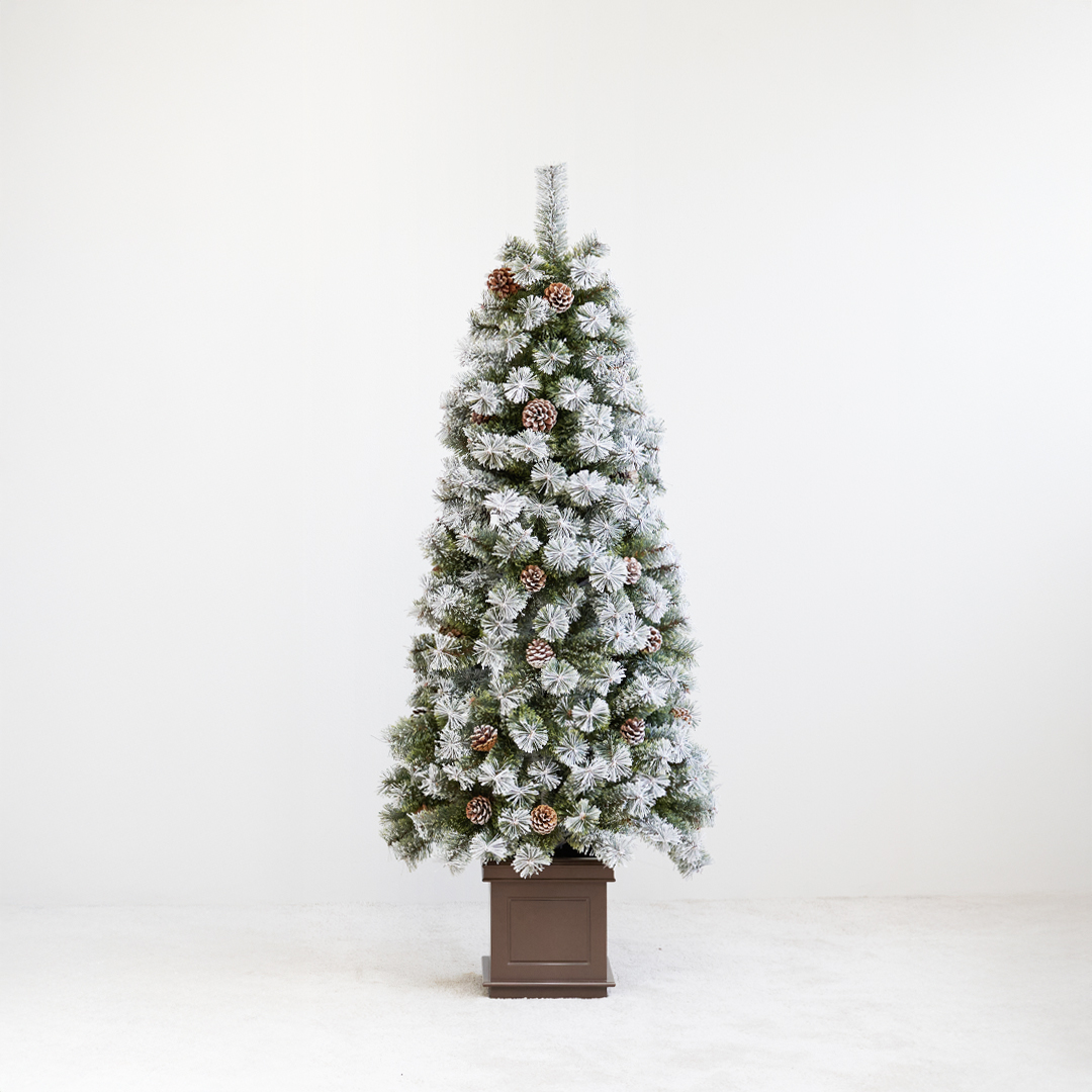 Alsace Alsace(R)正規販売店 クリスマスツリー 2025ver