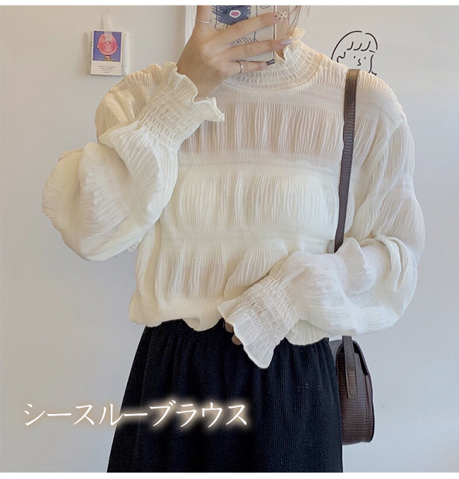 新品タグ付き　バッグパフスリーブシースルートップス バックパフスリーブシースルートップス Nadine｜Cygne(シーニュ