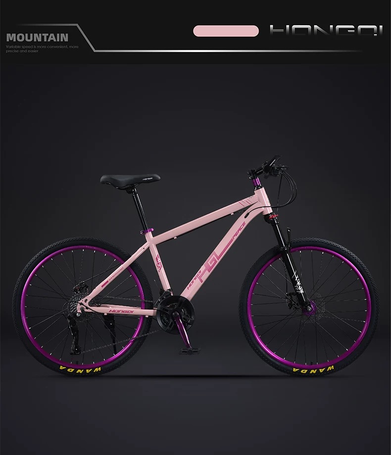 自転車 バイク 極太タイヤ マウンテンバイク 太いタイヤ 21 24