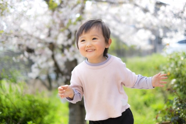 麻の葉柄の意味