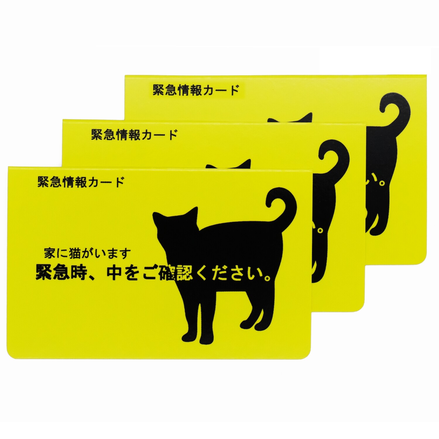 緊急情報カード 家に猫がいます カードサイズ 3枚セット ねこ ペットカード 留守番中の猫 ねこグッズ