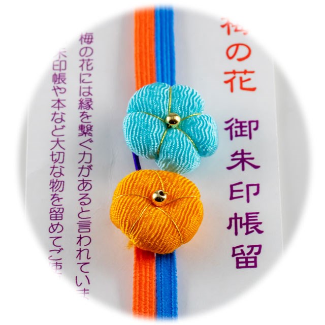 カラーバリエーション 全6種