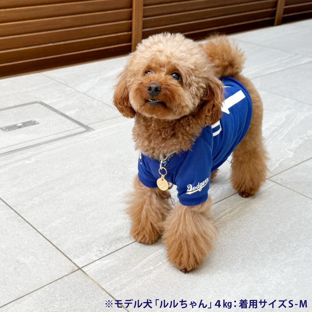 MLB公式 ロサンゼルス ドジャース 大谷翔平選手モデル ユニフォーム 野球 Tシャツ Mサイズ 超小型犬 犬用服 犬用ドレス かっこいい服  オオタニサン : fw003007 : GOODTIME ショッピング - 通販 - Yahoo!ショッピング