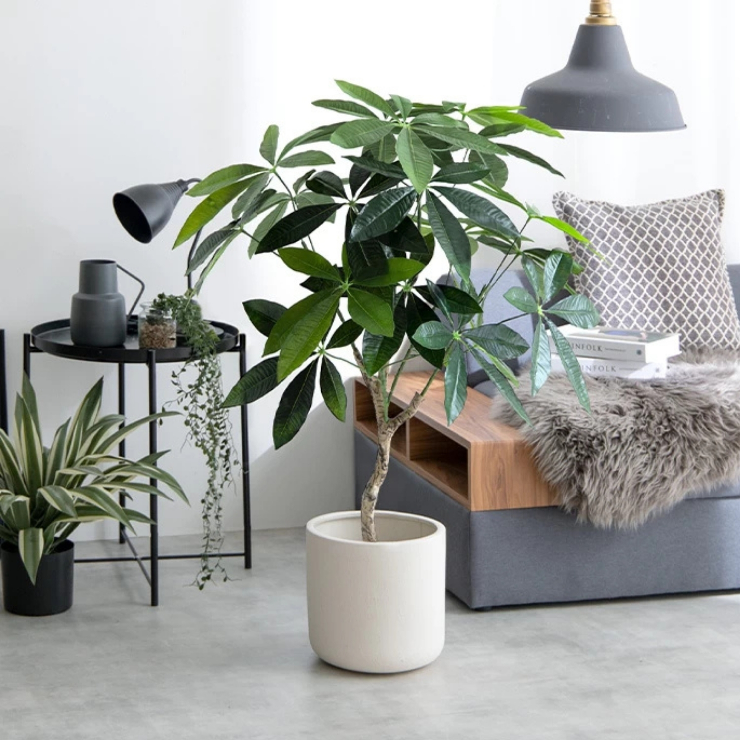 フェイクグリーン パキラ