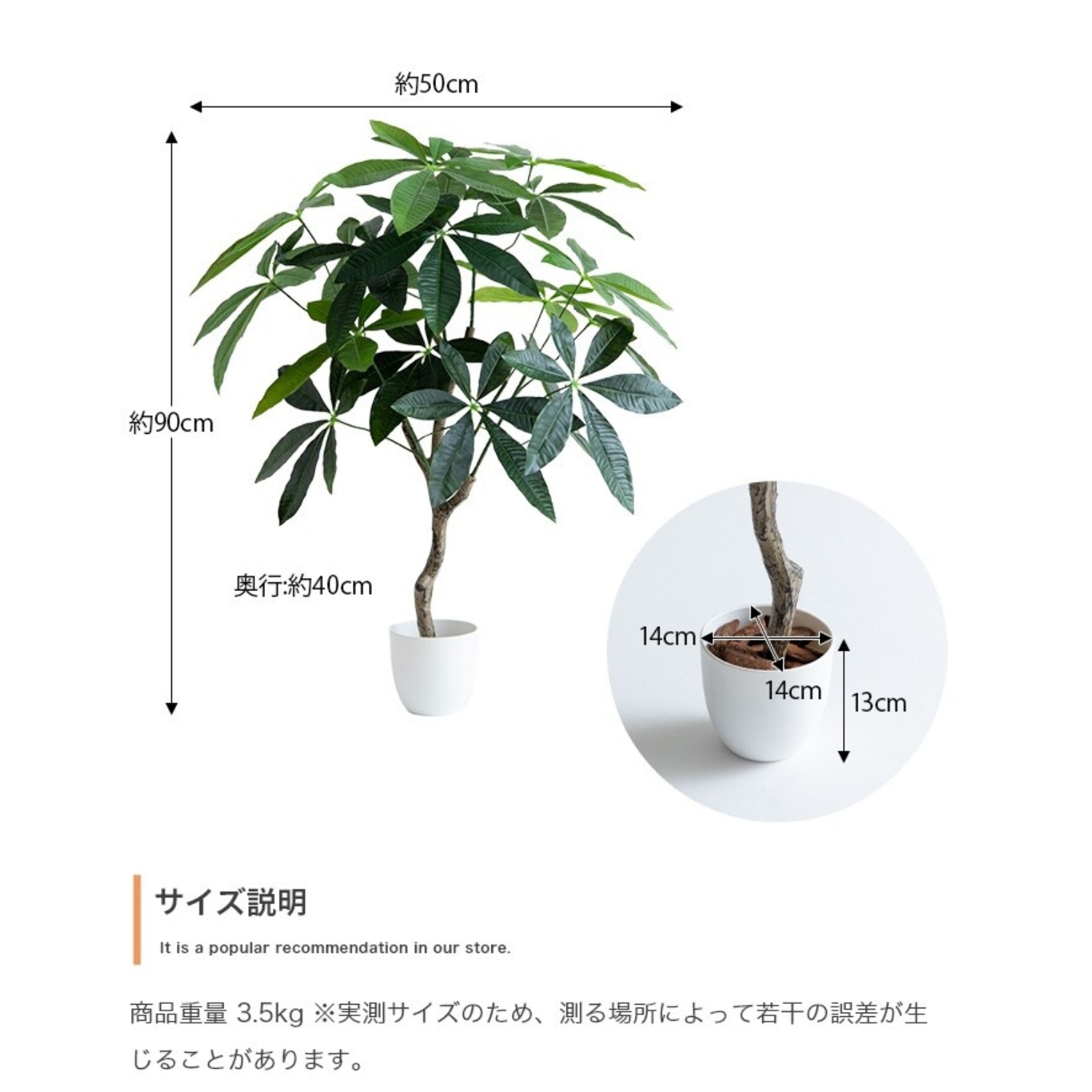 フェイクグリーン パキラ