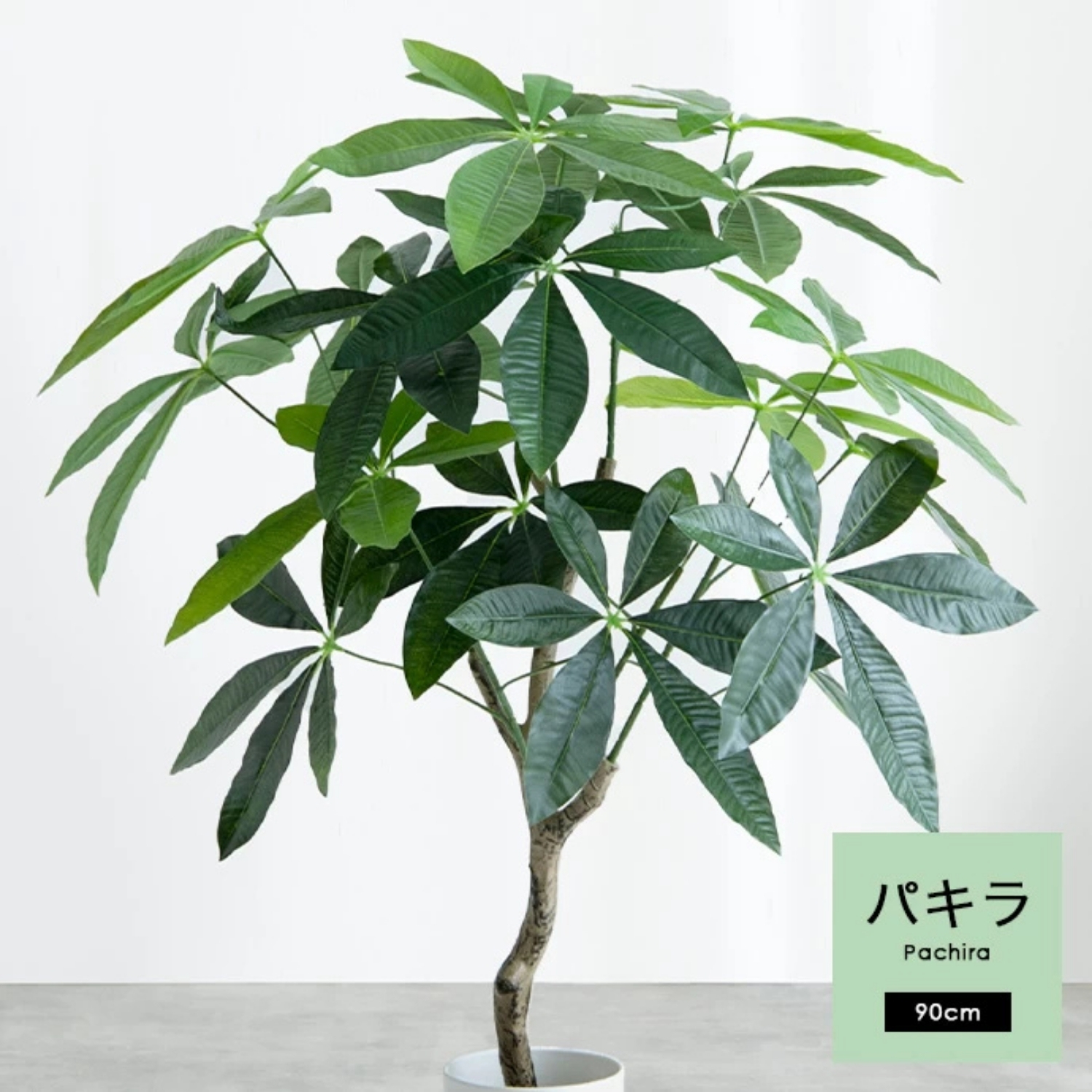 フェイクグリーン パキラ